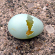 Metaphor: Flickr